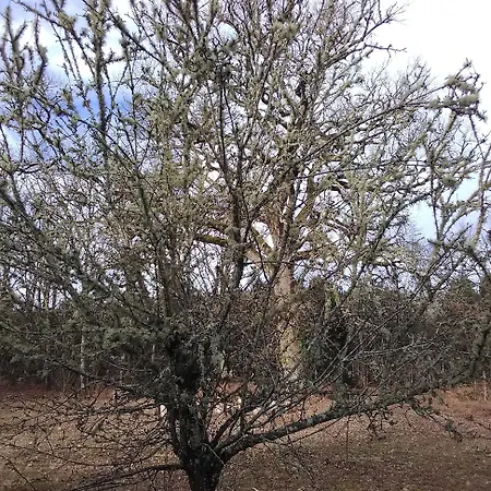 L'atelier Du Grison Отель типа 