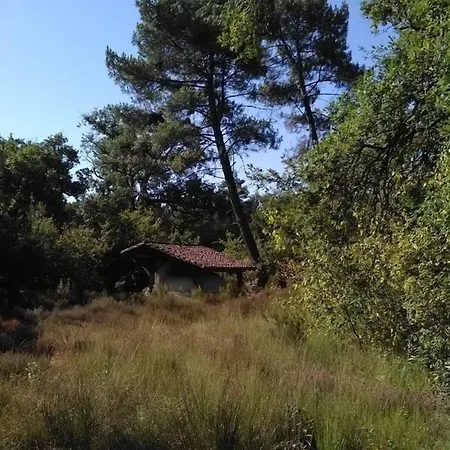 L'atelier Du Grison 3* Callen