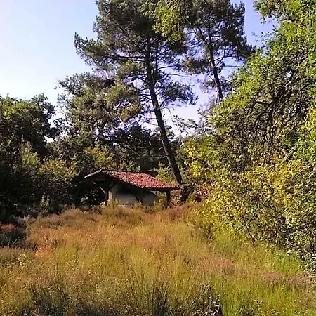L'atelier Du Grison Отель типа 