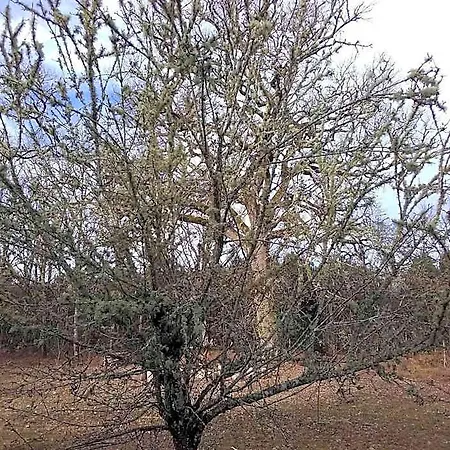 L'atelier Du Grison Отель типа 