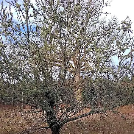 Отель типа 