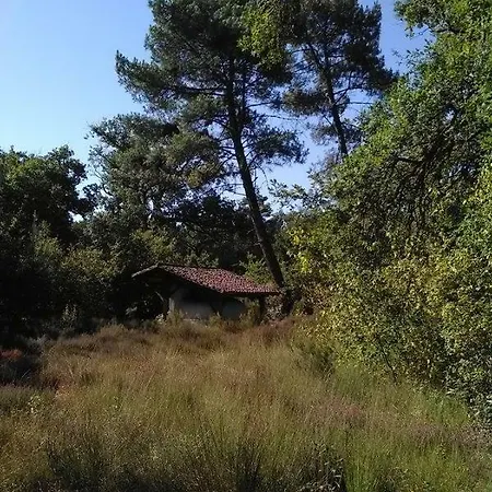 Отель типа 