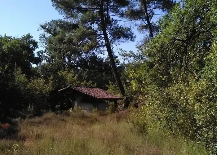 L'atelier Du Grison 3* Callen