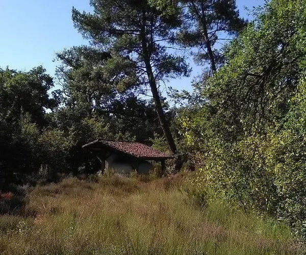 Nocleg ze śniadaniem L'atelier Du Grison